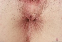 ATK hairy Arielle Lane Set