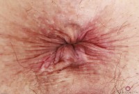 ATK hairy Arielle Lane Set