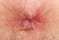 ATK hairy Arielle Lane Set