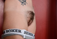 ATK hairy Ashley Stone Set