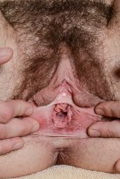 ATK hairy Ashley Stone Set