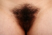 ATK hairy Ashley Brewington Set