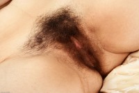 ATK hairy  in exotic and hairy