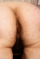 ATK hairy Ashley Brewington in upskirts and panties