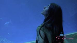 ATK Aunt Judys  in Virtual vacation