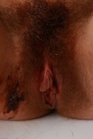 ATK hairy Audrey Set