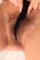 ATK hairy Audrey Set