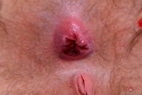 ATK hairy Aali Rousseau Set