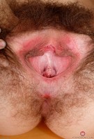 ATK hairy Aali Rousseau Set