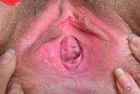 ATK hairy Aali Rousseau Set