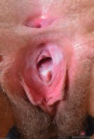 ATK hairy Aali Rousseau Set