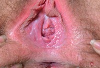 ATK hairy Aali Rousseau Set