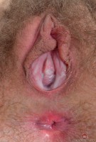 ATK hairy Aali Rousseau Set