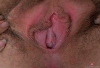 ATK hairy Aali Rousseau Set