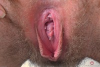 ATK hairy Aali Rousseau Set
