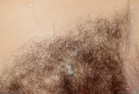 ATK hairy Aali Rousseau Set