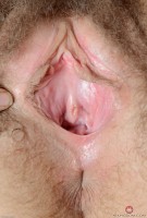 ATK hairy Aali Rousseau Set