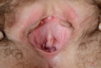 ATK hairy Aali Rousseau Set