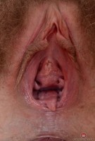 ATK hairy Aali Rousseau Set