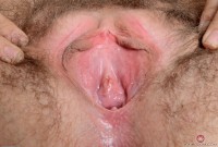 ATK hairy Aali Rousseau Set