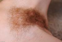 ATK hairy Austin Scott Set