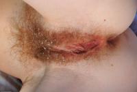 ATK hairy  in action