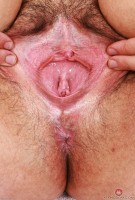 ATK hairy Autumn Berlin Set