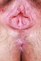 ATK hairy Autumn Berlin Set