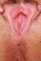 ATK hairy Autumn Berlin Set