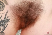 ATK hairy Ava D'Amore Set