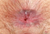 ATK hairy Ava D'Amore Set