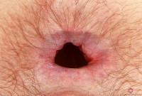ATK hairy Ava D'Amore Set