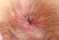 ATK hairy Ava D'Amore Set