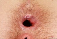 ATK hairy Ava D'Amore Set