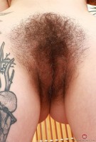 ATK hairy Ava D'Amore Set