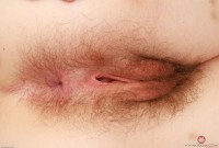 ATK hairy Ava D'Amore Set