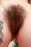 ATK hairy Ava D'Amore Set