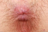 ATK hairy Ava D'Amore Set