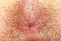 ATK hairy Ava D'Amore Set