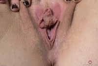 ATK hairy Barbary Rose in young and hairy