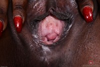 ATK hairy Bella Dahl in exotic and hairy