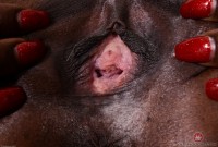 ATK hairy Bella Dahl Set