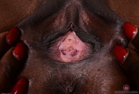 ATK hairy Bella Dahl Set