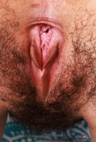 ATK hairy  in exotic and hairy