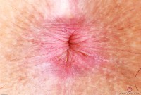 ATK hairy Bella Luna in exotic and hairy