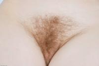 ATK hairy  in scary hairy