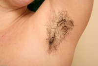 ATK hairy  in babes