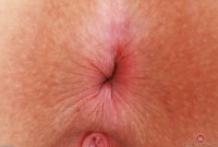 ATK hairy Bess Breast Set