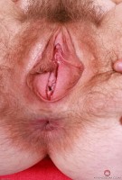 ATK hairy Big Eyes Set