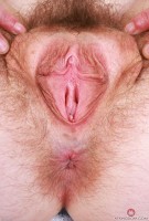 ATK hairy Big Eyes Set